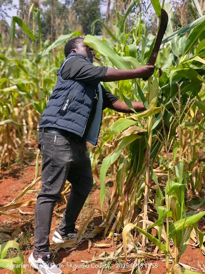 Farm